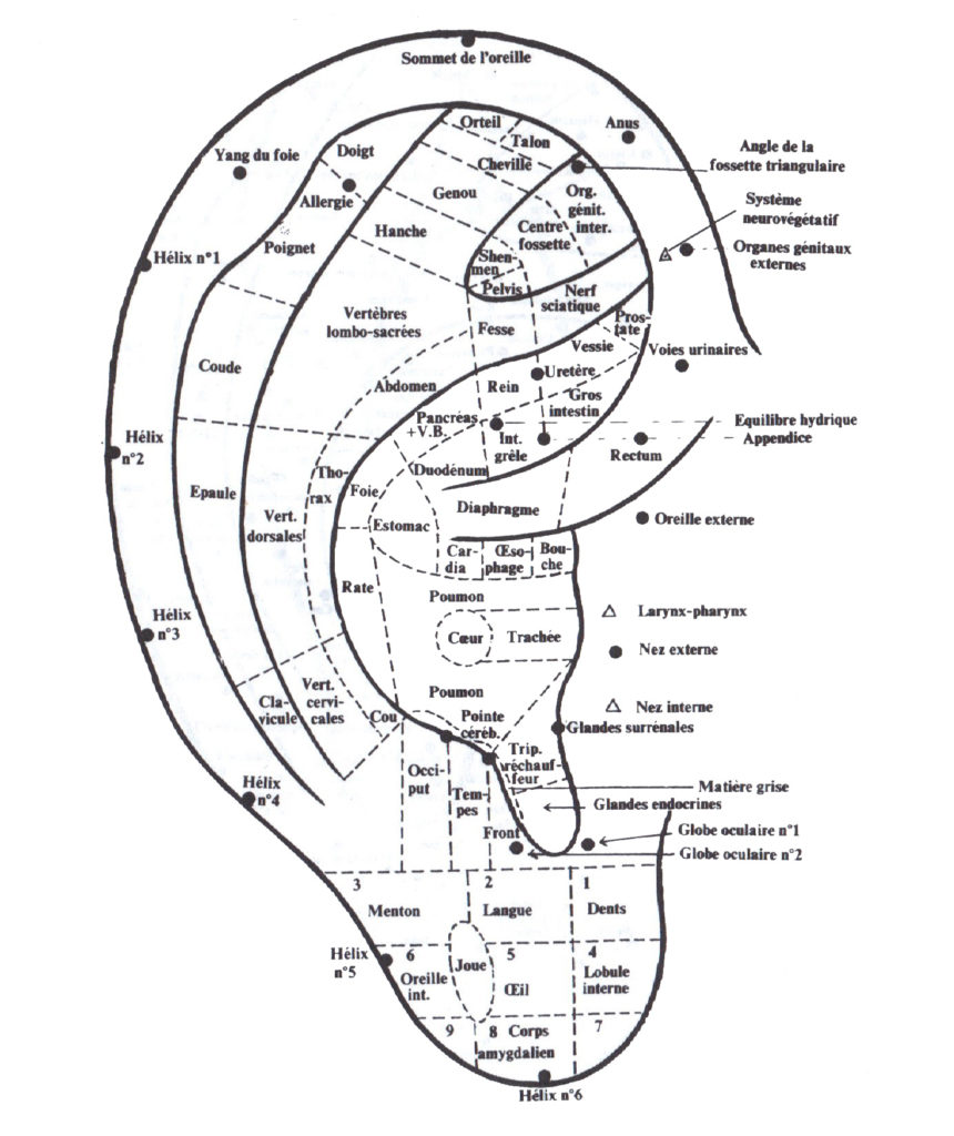 milostomic ch Auriculothérapie